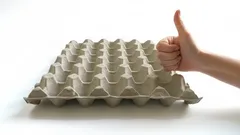 Turn old egg cartons into moisture and odor fighters in your basement